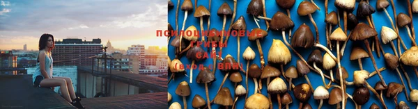 бошки Волосово